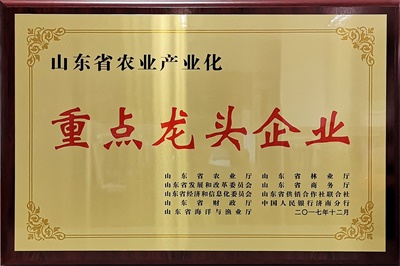 证书-山东龙头